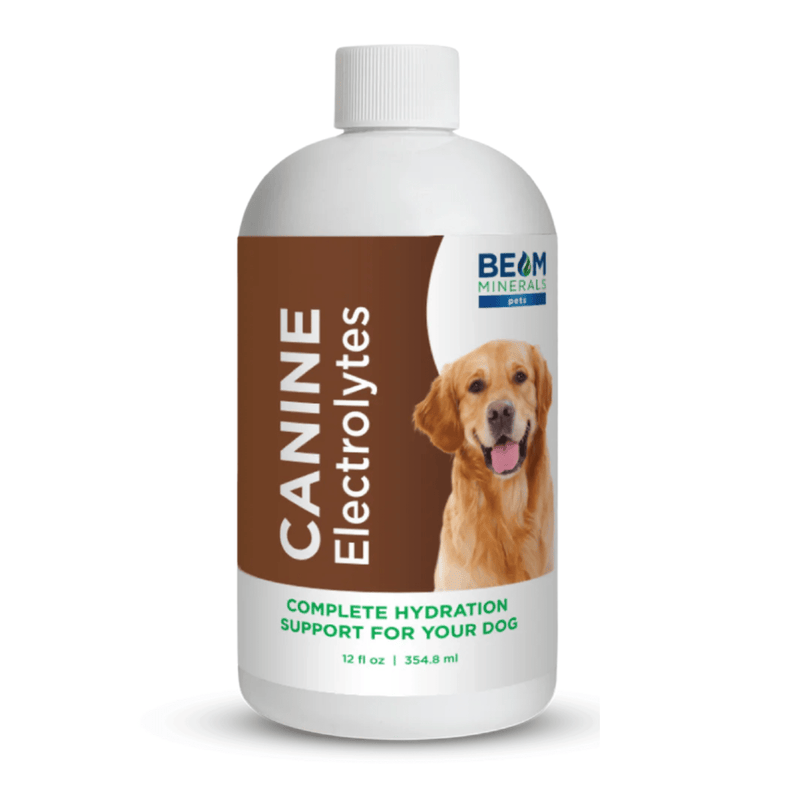 Advanced Canine Mineral and Electrolyte Replenishment Set