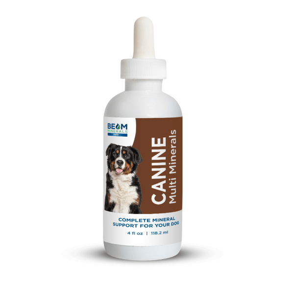 Advanced Canine Mineral and Electrolyte Replenishment Set