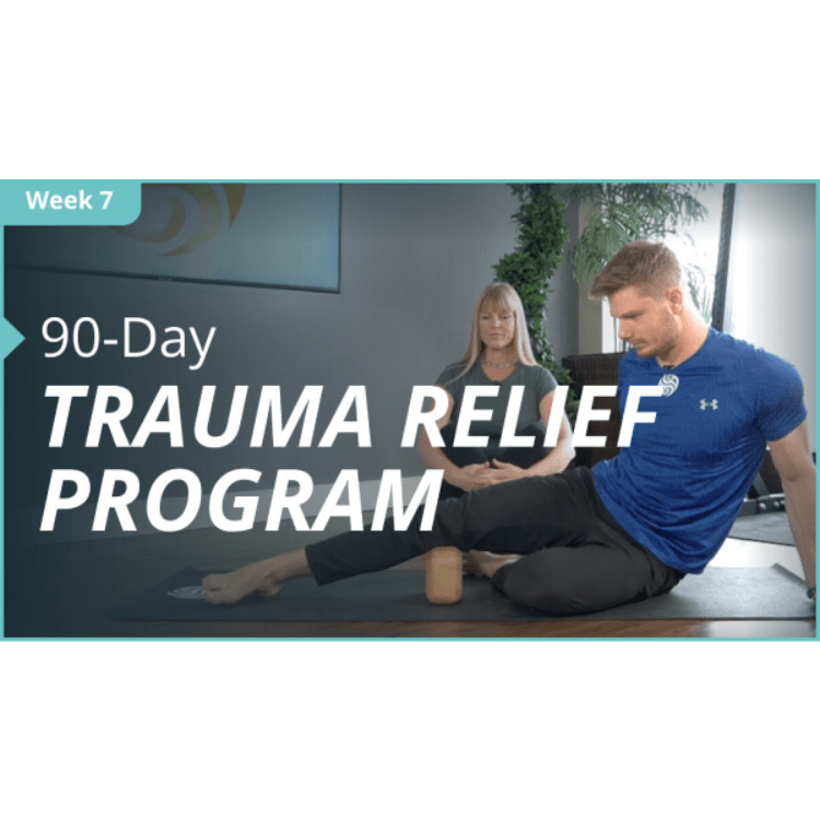 Block Therapy - On Demand Streaming