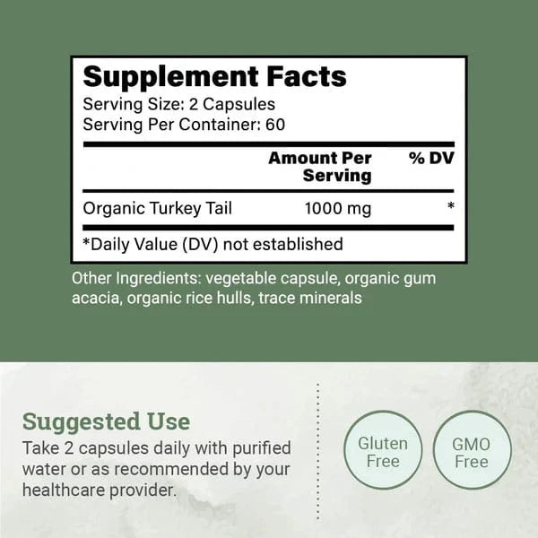 Turkey Tail - Mushroom Extract