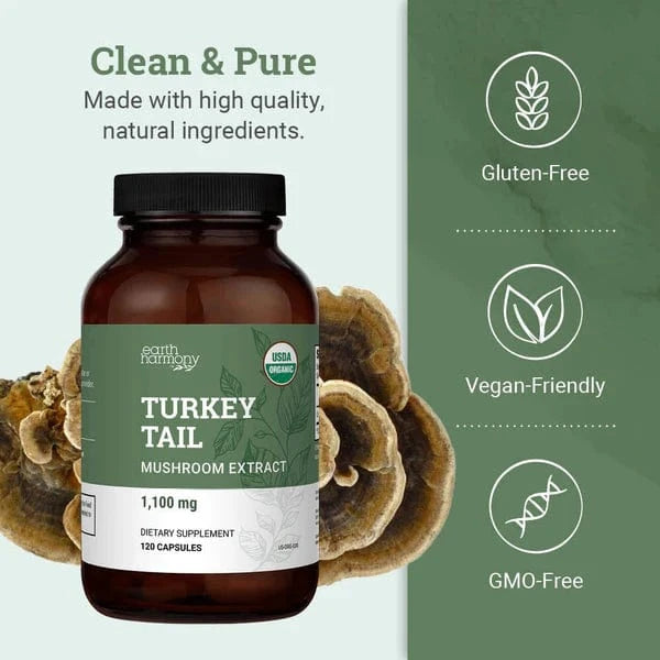 Turkey Tail - Mushroom Extract
