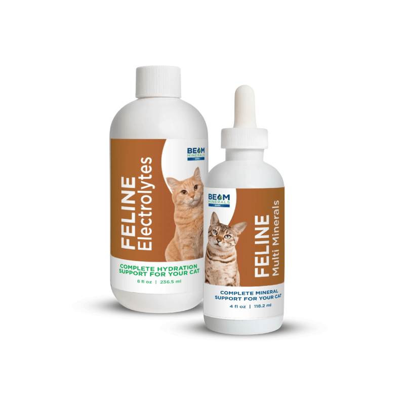 Advanced Feline Mineral and Electrolyte Replenishment Set