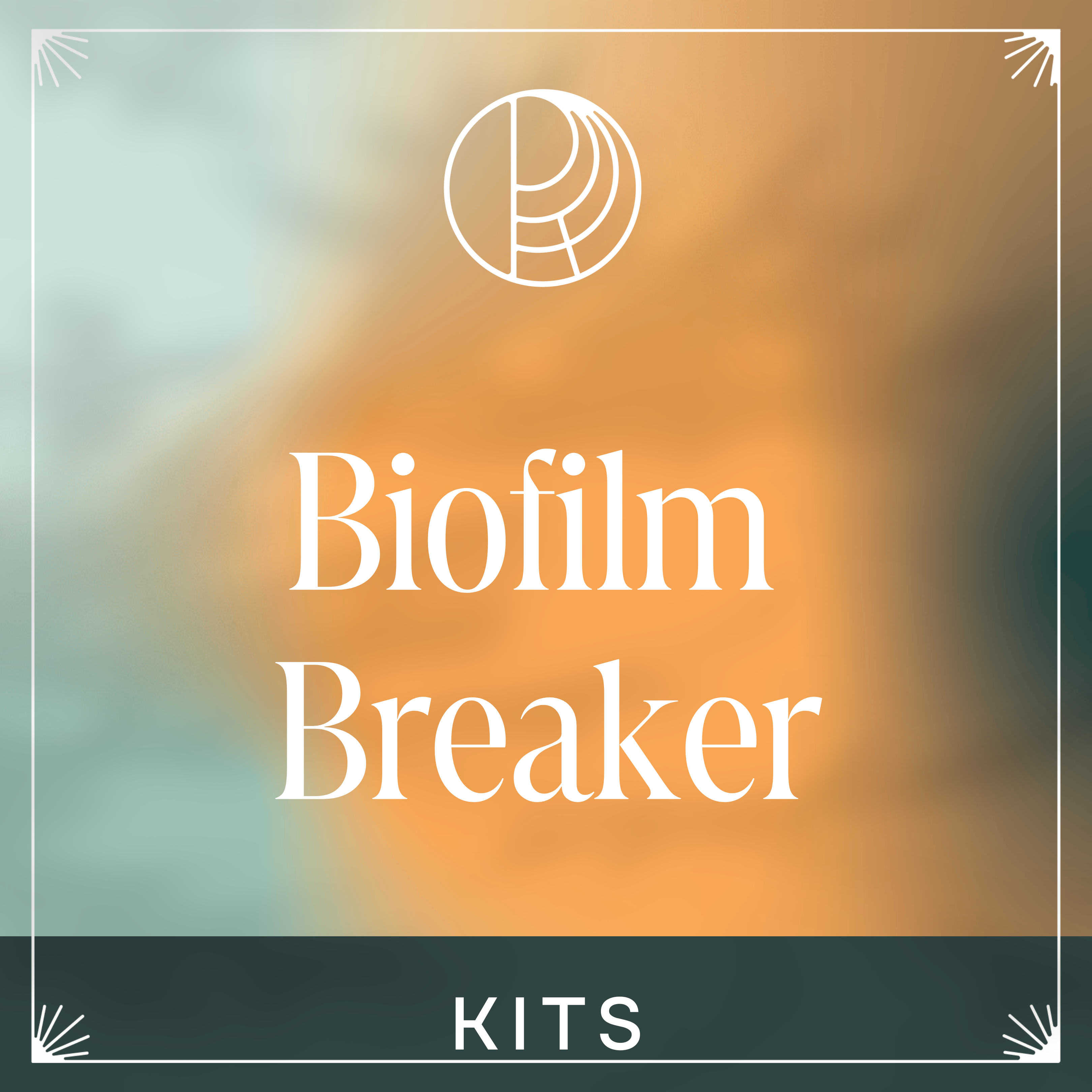 BioFilm Breaker Kit