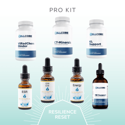 Resilience Reset Kit